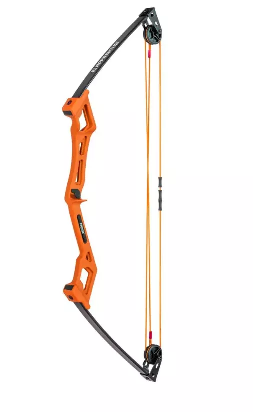 Bear Apprentice Compound Bow RH