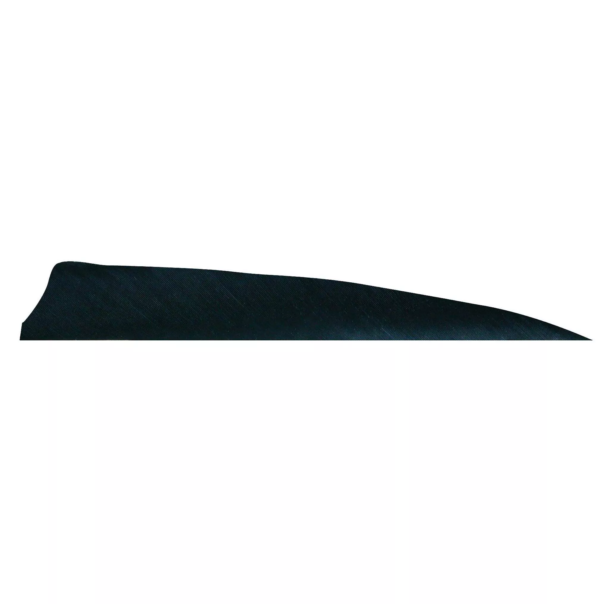 Plumas Gateway Shield de 4"