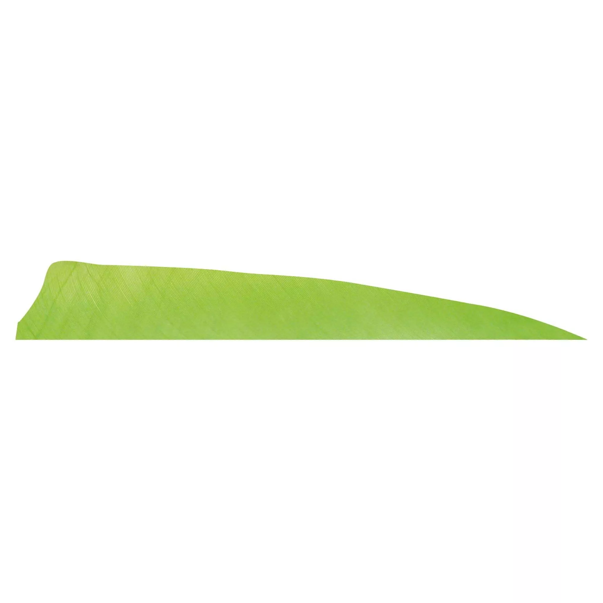 Plumas Gateway Shield de 4"