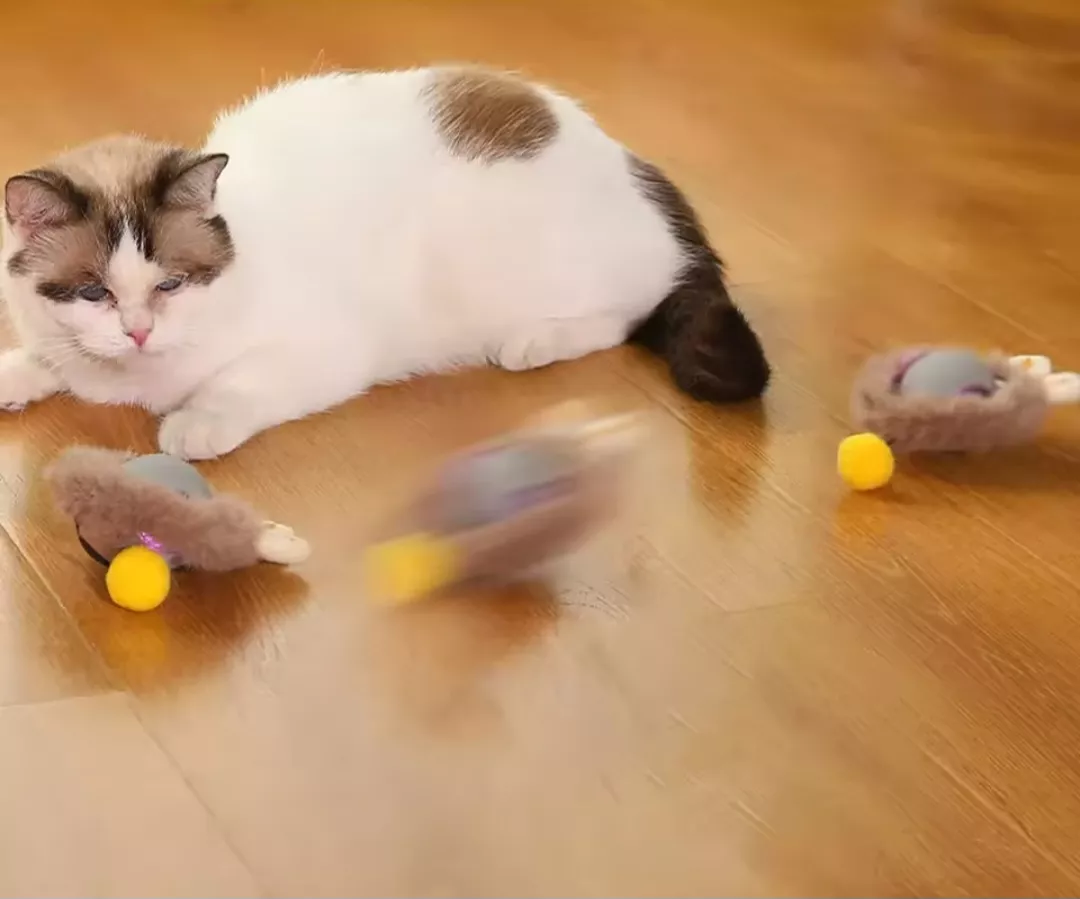 Juguete interactivo para gatos.