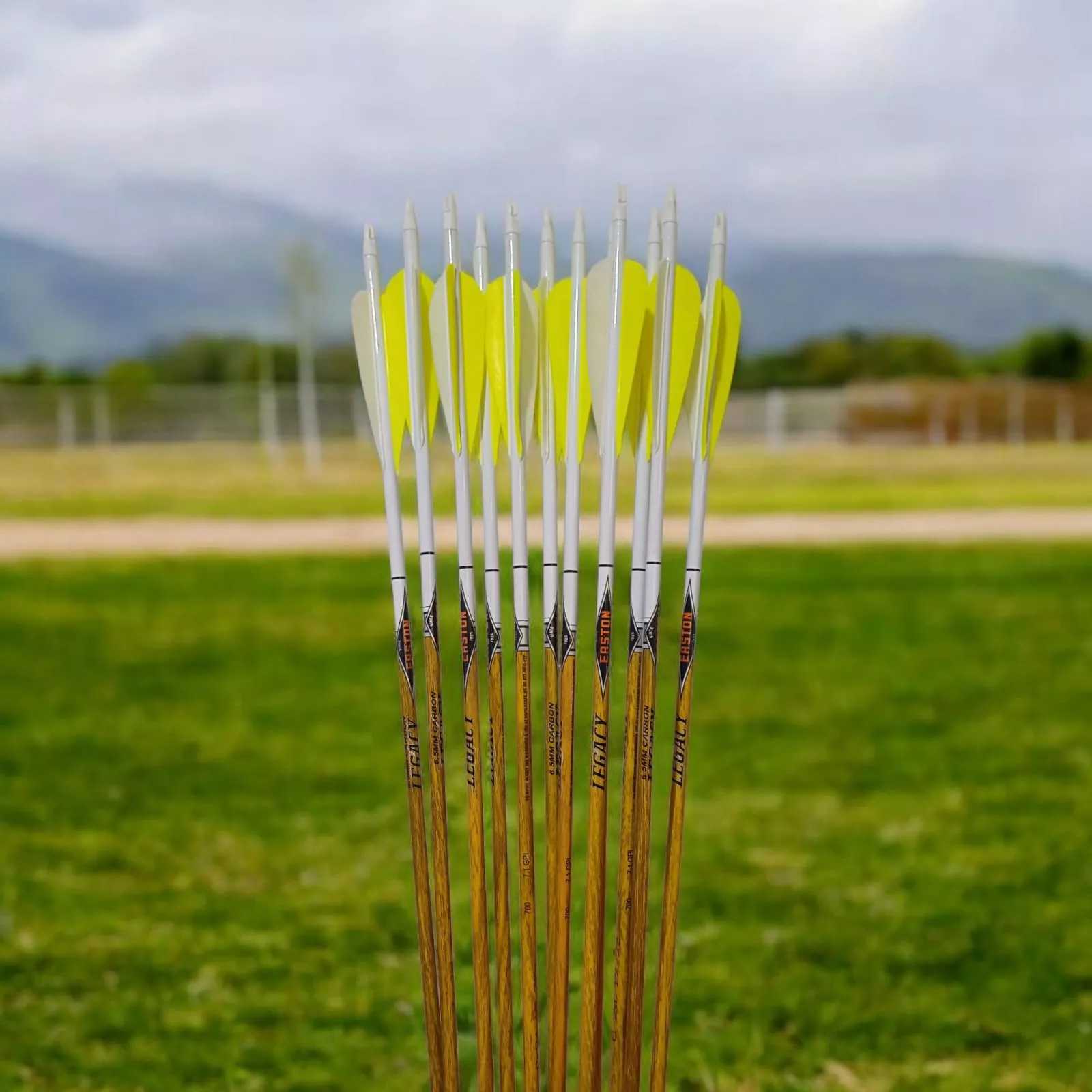 Flechas Easton Carbon Legacy spine 700